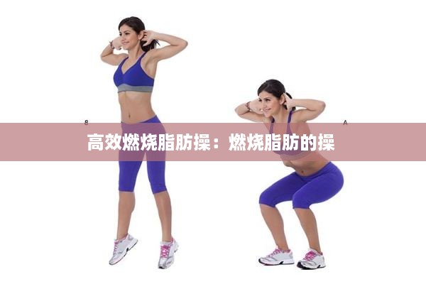高效燃烧脂肪操：燃烧脂肪的操 