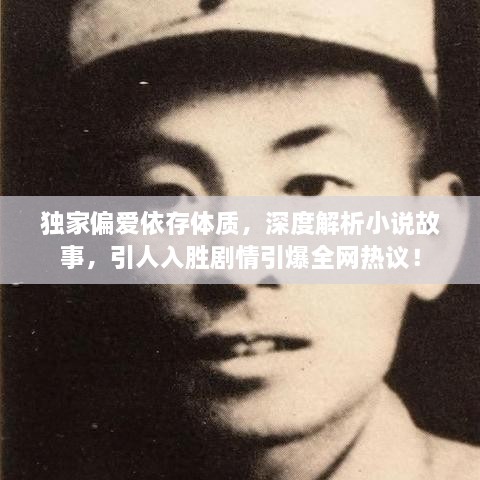 独家偏爱依存体质，深度解析小说故事，引人入胜剧情引爆全网热议！