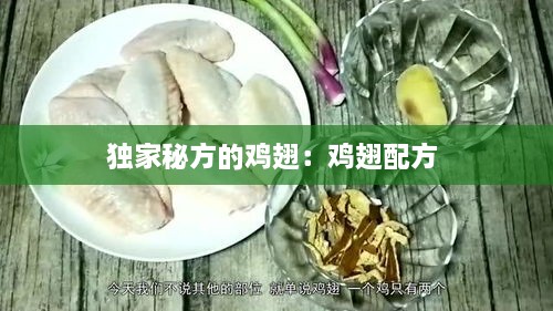 独家秘方的鸡翅：鸡翅配方 