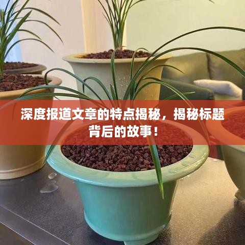 明夷于飞 第3页