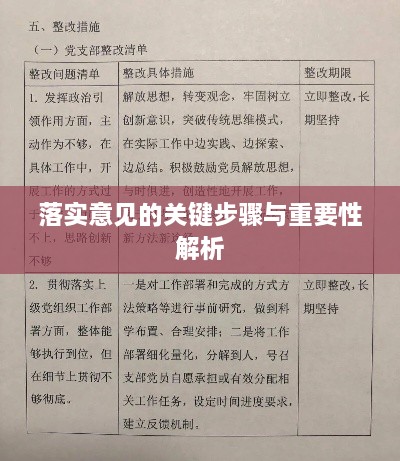 落实意见的关键步骤与重要性解析