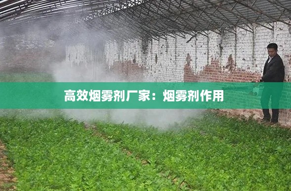 高效烟雾剂厂家：烟雾剂作用 