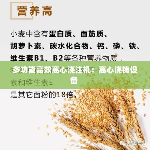多功能高效离心浇注机：离心浇铸设备 