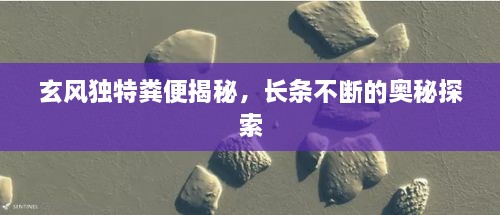 玄风独特粪便揭秘，长条不断的奥秘探索