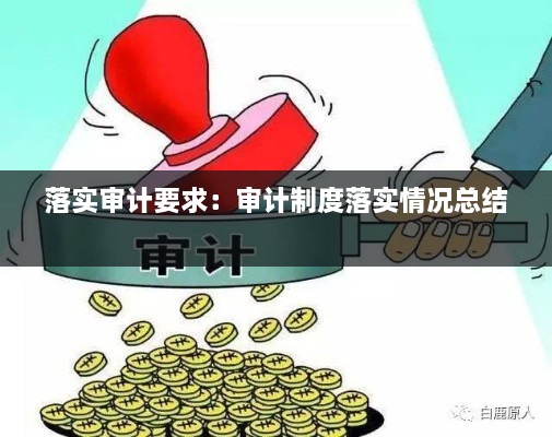 落实审计要求：审计制度落实情况总结 