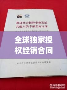 全球独家授权经销合同，构建稳固商业联盟，共创辉煌未来！