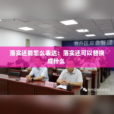 落实还能怎么表达：落实还可以替换成什么 
