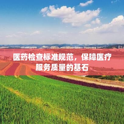 医药检查标准规范，保障医疗服务质量的基石