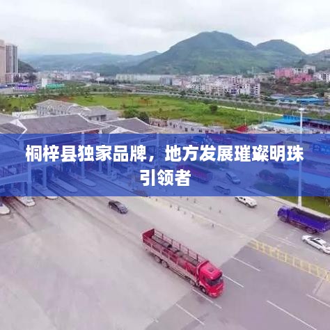 桐梓县独家品牌，地方发展璀璨明珠引领者
