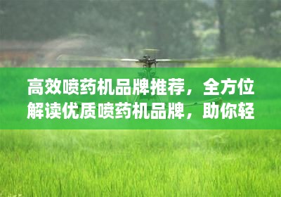 高效喷药机品牌推荐，全方位解读优质喷药机品牌，助你轻松选择！