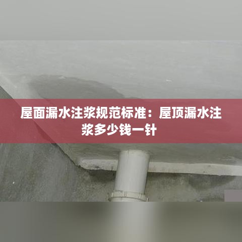 屋面漏水注浆规范标准：屋顶漏水注浆多少钱一针 