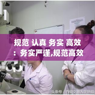 规范 认真 务实 高效：务实严谨,规范高效将是我们工作 