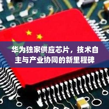 华为独家供应芯片，技术自主与产业协同的新里程碑