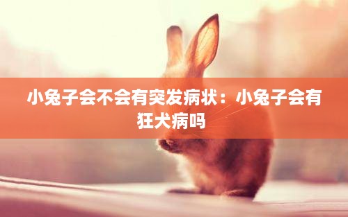 小兔子会不会有突发病状：小兔子会有狂犬病吗 