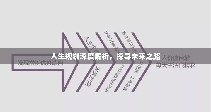 人生规划深度解析，探寻未来之路