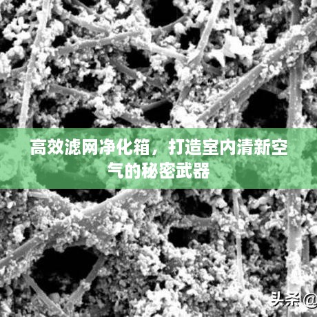 高效滤网净化箱，打造室内清新空气的秘密武器