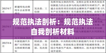 规范执法剖析：规范执法自我剖析材料 