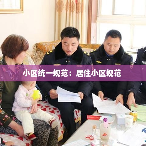 小区统一规范：居住小区规范 