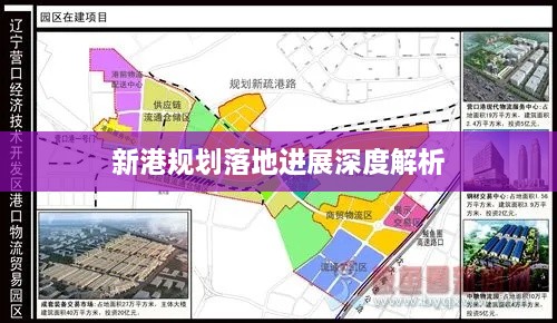 新港规划落地进展深度解析