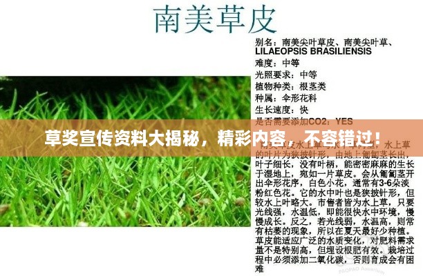 草奖宣传资料大揭秘，精彩内容，不容错过！