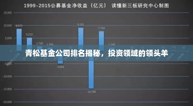 青松基金公司排名揭秘，投资领域的领头羊