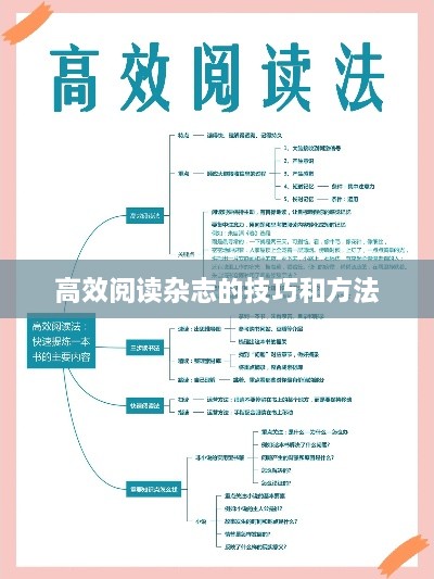 高效阅读杂志的技巧和方法