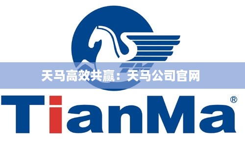 天马高效共赢：天马公司官网 
