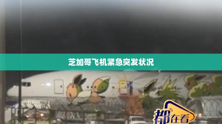 芝加哥飞机紧急突发状况