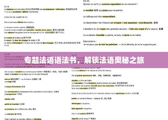 专题法语语法书，解锁法语奥秘之旅