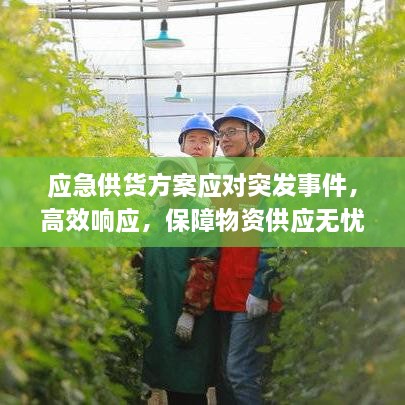 应急供货方案应对突发事件，高效响应，保障物资供应无忧