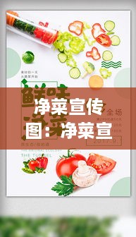 净菜宣传图：净菜宣传语 