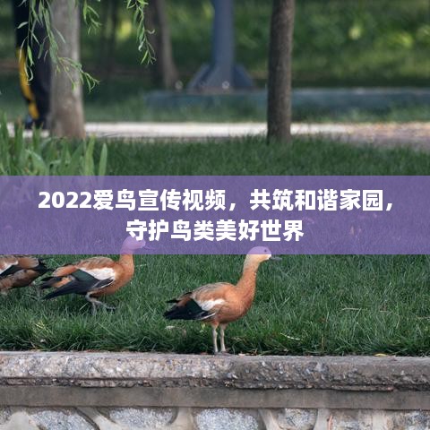 天潢贵胄 第2页