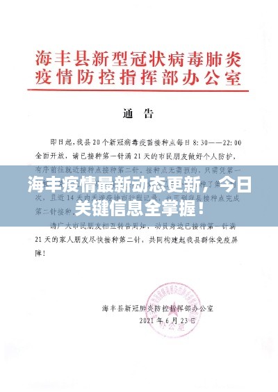 海丰疫情最新动态更新，今日关键信息全掌握！