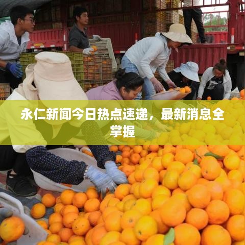 尽心竭力 第2页