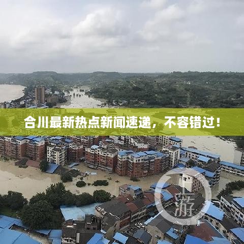 合川最新热点新闻速递，不容错过！