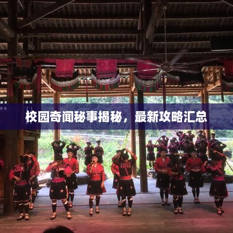 校园奇闻秘事揭秘，最新攻略汇总