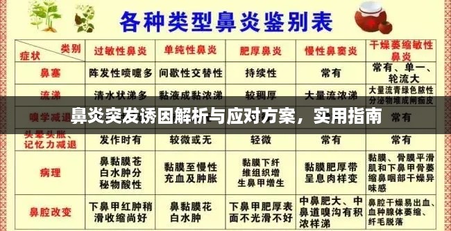 鼻炎突发诱因解析与应对方案，实用指南
