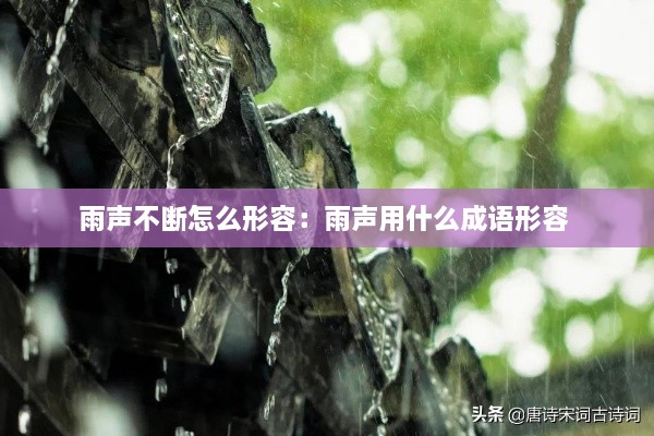 雨声不断怎么形容：雨声用什么成语形容 