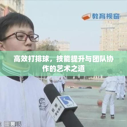 高效打排球，技能提升与团队协作的艺术之道