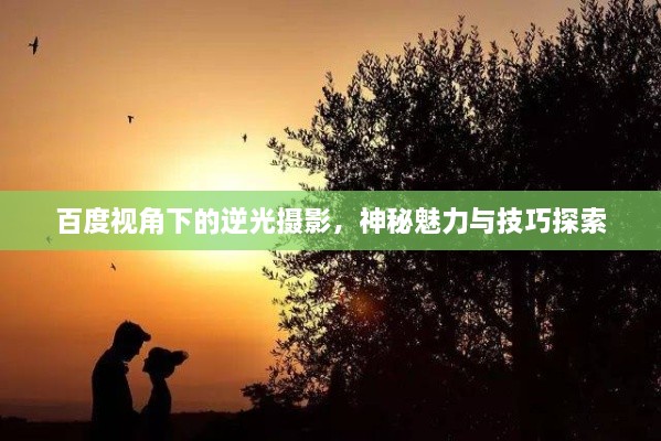 百度视角下的逆光摄影，神秘魅力与技巧探索