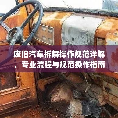 东张西望 第2页
