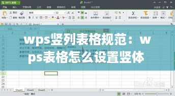 wps竖列表格规范：wps表格怎么设置竖体 