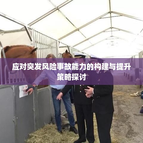 应对突发风险事故能力的构建与提升策略探讨