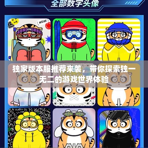 独家版本服推荐来袭，带你探索独一无二的游戏世界体验