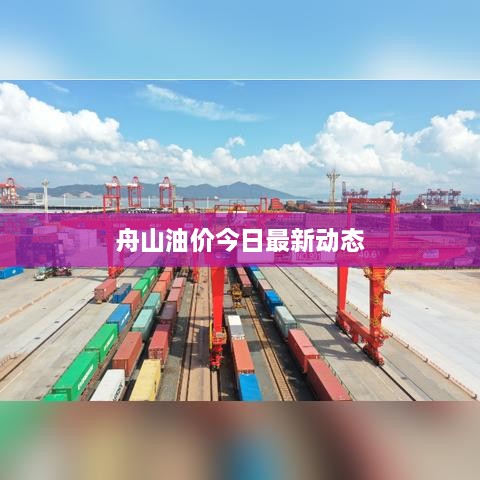 舟山油价今日最新动态