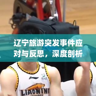 辽宁旅游突发事件应对与反思，深度剖析旅游安全挑战