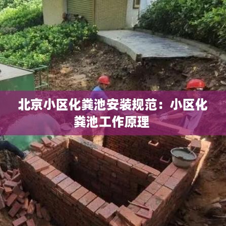 反朴归真 第2页