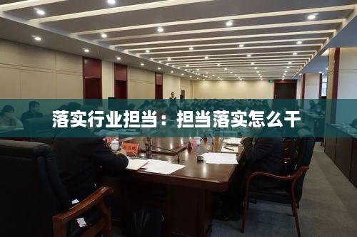 落实行业担当：担当落实怎么干 