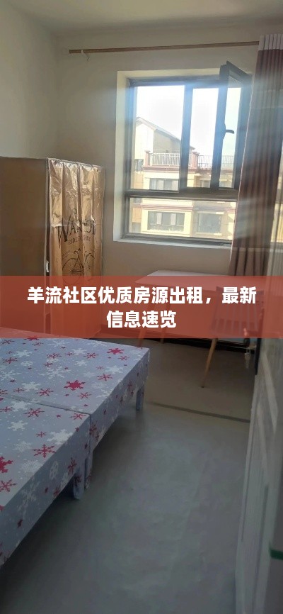 羊流社区优质房源出租，最新信息速览