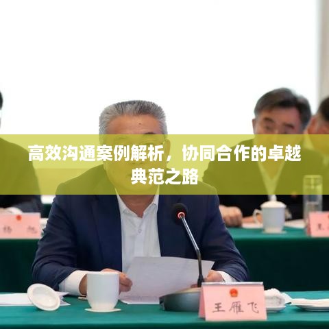 高效沟通案例解析，协同合作的卓越典范之路